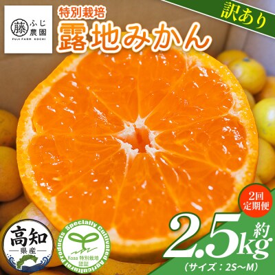 【2回定期便】ふじ農園の露地みかん 訳あり品 2.5kg(2S～M) Wfn-0019