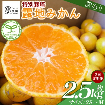 【3回定期便】ふじ農園の露地みかん 訳あり品 2.5kg(2S～M) Wfn-0020
