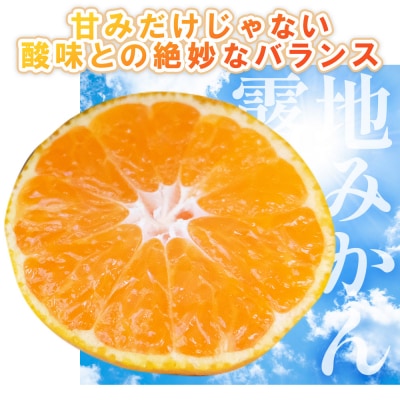 【3回定期便】ふじ農園の露地みかん 訳あり品 2.5kg(2S～M) Wfn-0020
