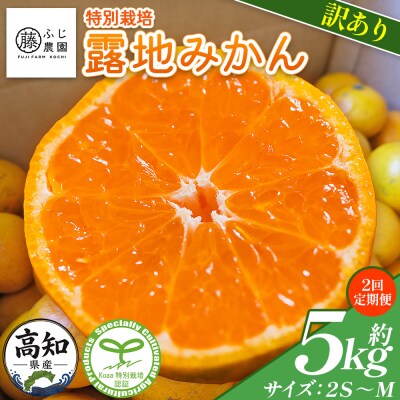 【2回定期便】ふじ農園の露地みかん 訳あり品 5kg(2S～M) Wfn-0021