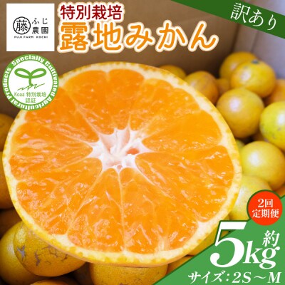 【2回定期便】ふじ農園の露地みかん 訳あり品 5kg(2S～M) Wfn-0021