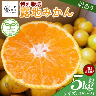 【3回定期便】ふじ農園の露地みかん 訳あり品 5kg(2S～M) Wfn-0022