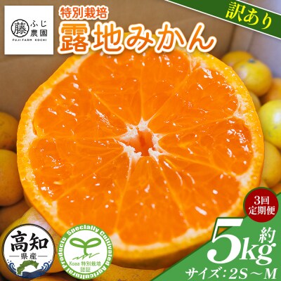【3回定期便】ふじ農園の露地みかん 訳あり品 5kg(2S～M) Wfn-0022