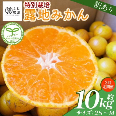 【2回定期便】ふじ農園の露地みかん 訳あり品 (2S～M) 5kg×2箱 10kg Wfn-0023