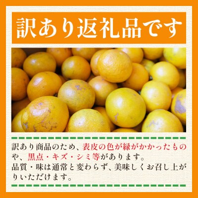 【2回定期便】ふじ農園の露地みかん 訳あり品 (2S～M) 5kg×2箱 10kg Wfn-0023