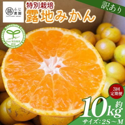 【3回定期便】ふじ農園の露地みかん 訳あり品 10kg(2S～M) 5kg×2箱 Wfn-0024
