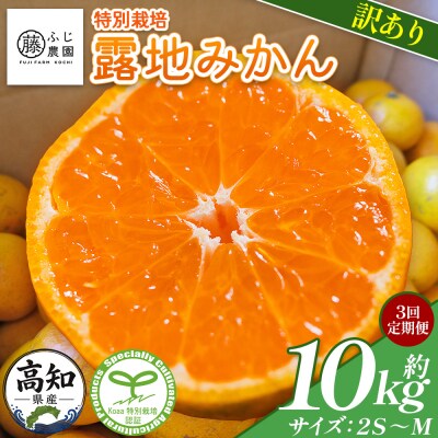 【3回定期便】ふじ農園の露地みかん 訳あり品 10kg(2S～M) 5kg×2箱 Wfn-0024