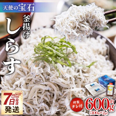 小分けしらす干し 小分け釜揚げしらす 計600g 特製タレ付き 天使の宝石 fa-0003
