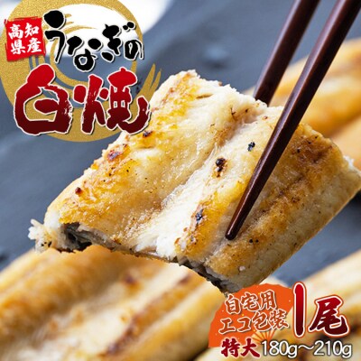 高知県産うなぎの白焼き 180～210g×1尾 エコ包装 国産 うなぎ 白焼き 鰻 yw-0042