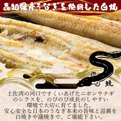 高知県産うなぎの白焼き 180～210g×1尾 エコ包装 国産 うなぎ 白焼き 鰻 yw-0042