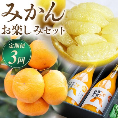 フルーツ 定期便3回 みかん お楽しみセット Wms-0056