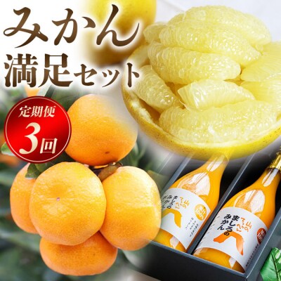 フルーツ 定期便3回 みかん 満足セット Wms-0058
