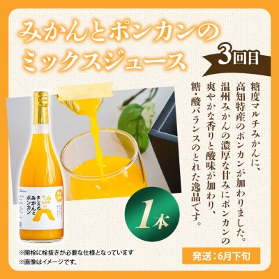 フルーツ 定期便3回 みかん 満足セット Wms-0058