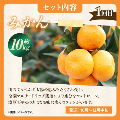 みかんジュース100% ジュース ストレート フルーツ 定期便3回 満喫セット Wms-0060