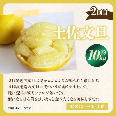 みかんジュース100% ジュース ストレート フルーツ 定期便3回 満喫セット Wms-0060