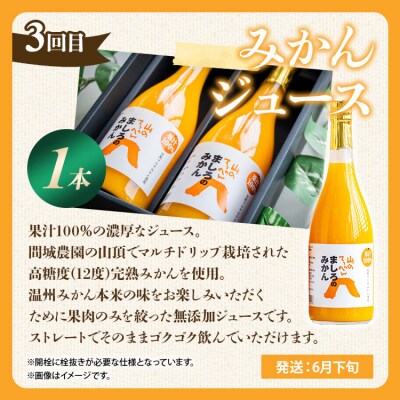 みかんジュース100% ジュース ストレート フルーツ 定期便3回 満喫セット Wms-0060