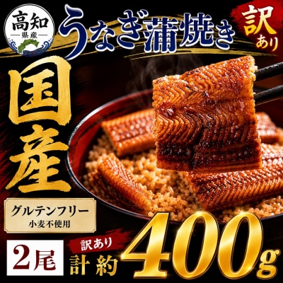 うなぎの蒲焼き人気 計約400g 2尾 【訳あり】国産 Sfb-0228