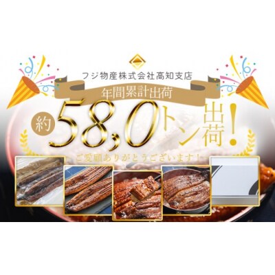 【訳あり】うなぎ 国産 蒲焼き 2尾 計約400g うなぎの蒲焼き 鰻蒲焼き fb-0207