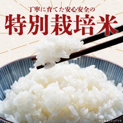 令和8年度産 白米(特別栽培米)5kg 8月下旬以降順次配送 ka-0002