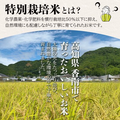 令和8年度産 白米(特別栽培米)5kg 8月下旬以降順次配送 ka-0002
