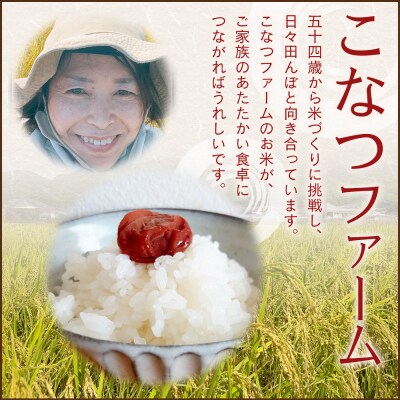 令和8年度産 白米(特別栽培米)5kg 8月下旬以降順次配送 ka-0002