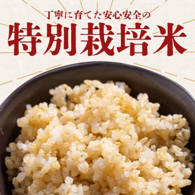 令和8年度産 玄米(特別栽培米)5kg 8月下旬以降順次配送 ka-0001