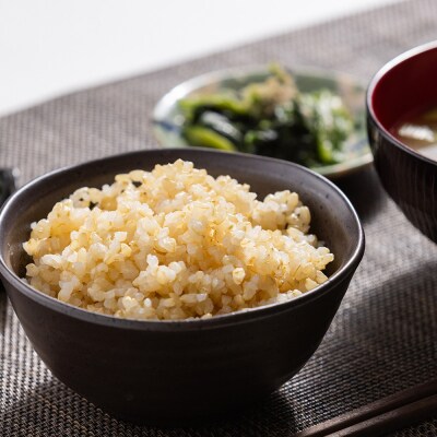 令和8年度産 玄米(特別栽培米)5kg 8月下旬以降順次配送 ka-0001