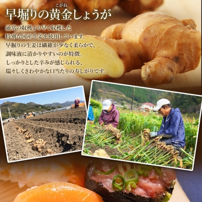 ガリ 国産黄金生姜使用 寿司ガリ 1kg 野菜 しょうが 根菜 加工品 Xnb-0011