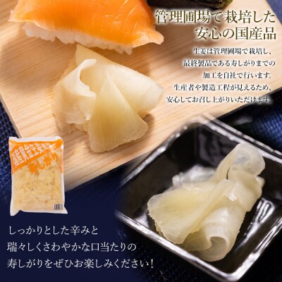 ガリ 国産黄金生姜使用 寿司ガリ 1kg 野菜 しょうが 根菜 加工品 Xnb-0011