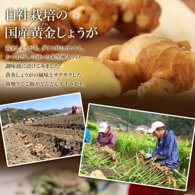 味付け 極しょうが 110g×4袋 計440g おかず ご飯 丼 7日程度で発送 Xnb-0013 