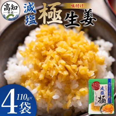 減塩 味付け 極しょうが 110g×4袋 計440g おかず ご飯 丼 Xnb-0015