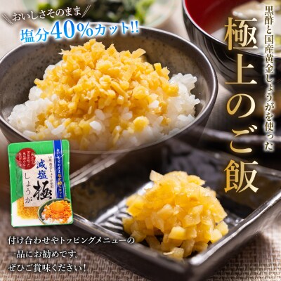 減塩 味付け 極しょうが 110g×4袋 計440g おかず ご飯 丼 Xnb-0015