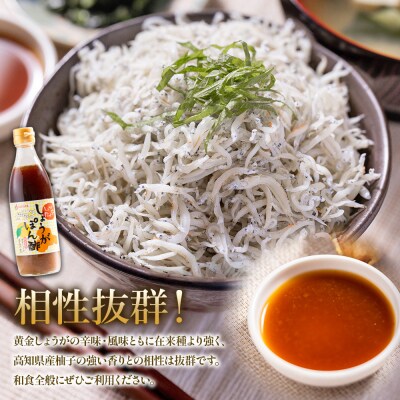 生姜ぽん酢 360ml×5本 ポン酢 高知 しょうが 調味料 セット 高知県 Xnb-0016
