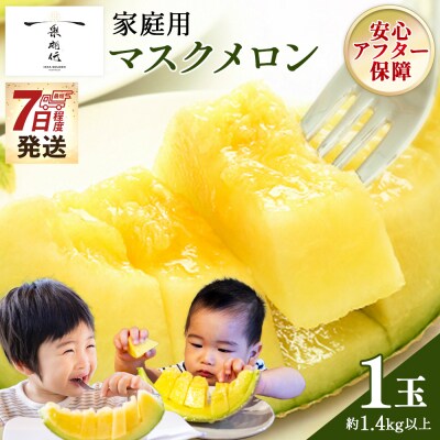 【7日程度で発送】訳あり メロン1玉入り 青肉 1個 家庭用 マスクメロン 数量限定 tn-0062