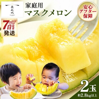 【7日程度で発送】一果相伝マスクメロン 家庭用 2玉入り tn-0063