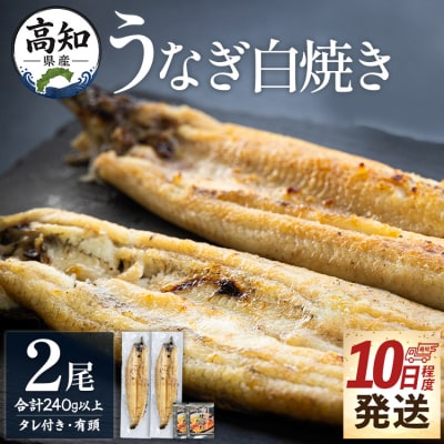 高知県産鰻の白焼き120～130g 2尾 蒲焼きのタレ2袋 エコ包装 yw-0126