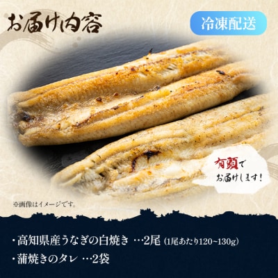 高知県産鰻の白焼き120～130g 2尾 蒲焼きのタレ2袋 エコ包装 yw-0126