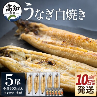 高知県産鰻の白焼き120～130g 5尾 蒲焼きのタレ5袋 エコ包装 yw-0128