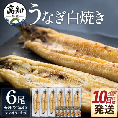 高知県産鰻の白焼き120～130g 6尾 蒲焼きのタレ6袋 エコ包装 yw-0129