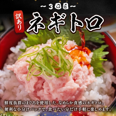 【6回定期便】マグロ かつお堪能定期便 Wda-0056