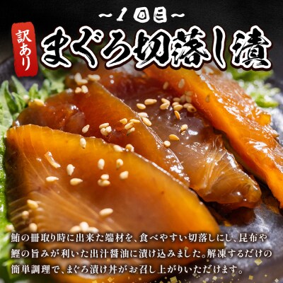 【9回定期便】マグロ かつお堪能定期便 Wda-0057