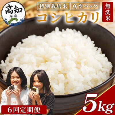 【6回定期便】令和8年産 高知県香南市産 特別栽培米 コシヒカリ 5kg Wnu-0015
