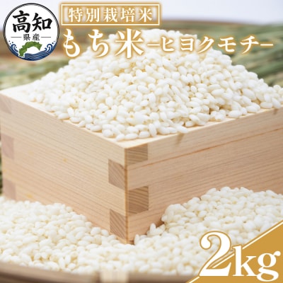 【令和8年産】高知県香南市産 特別栽培米 もち米 2kg nu-0017