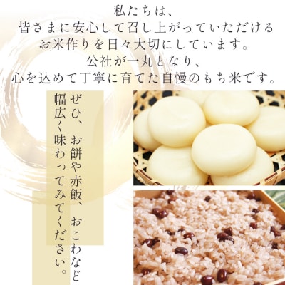【令和8年産】高知県香南市産 特別栽培米 もち米 2kg nu-0017