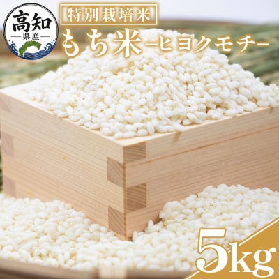 【令和8年産】高知県香南市産 特別栽培米 もち米 5kg nu-0018