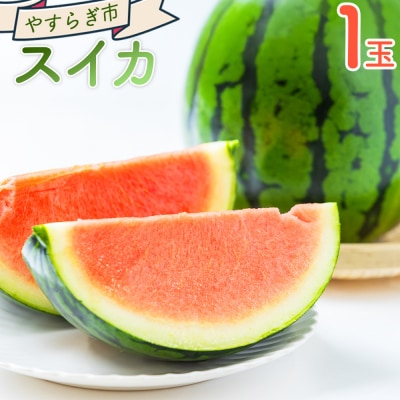 スイカ 1玉 yr-0119