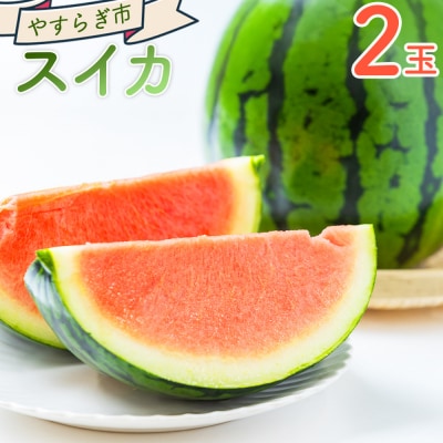 スイカ 2玉 yr-0120