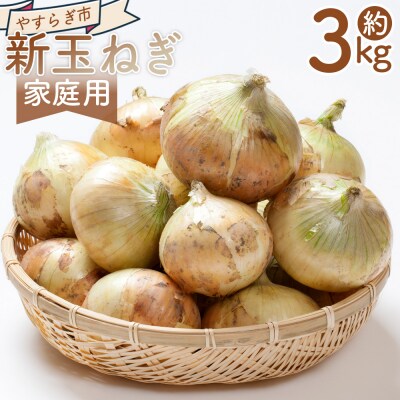 新玉ねぎ 3kg 家庭用 yr-0121