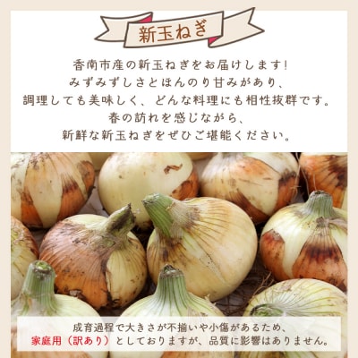 新玉ねぎ 3kg 家庭用 yr-0121