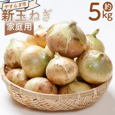 新玉ねぎ 5kg 家庭用 yr-0122